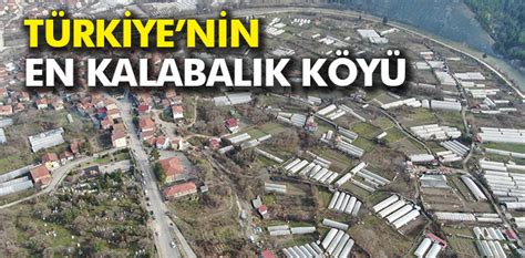 Türkiye’nin en kalabalık köyü ünvanı yeniden Karabük’te